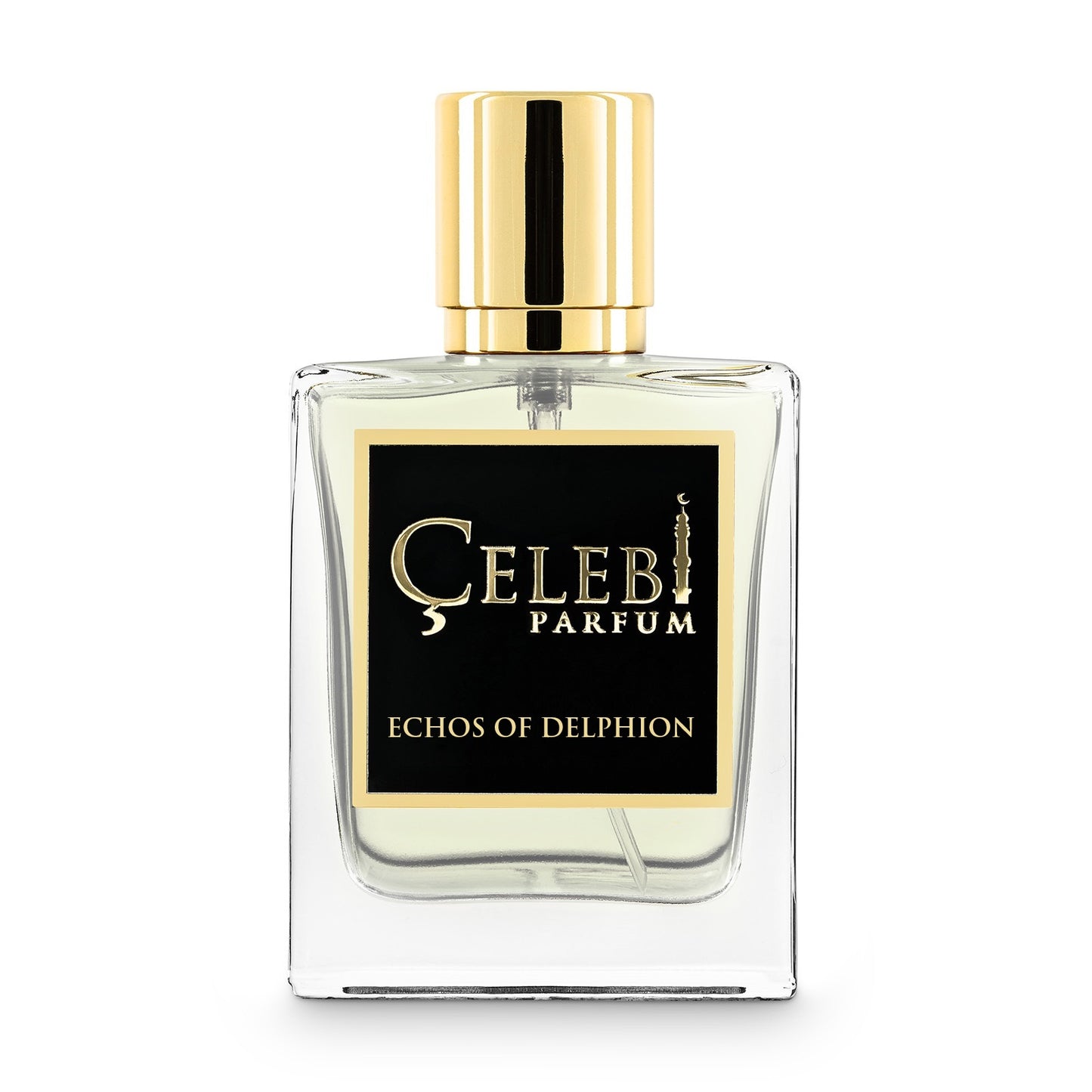 Echos of Delphion